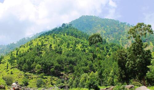 Thandiani Abbottabad Tour