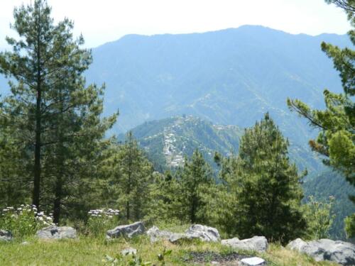 Thandiani Abbottabad Tour