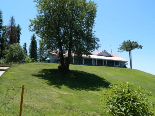 Thandiani Abbottabad Tour