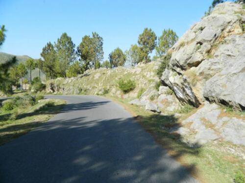 Thandiani Abbottabad Tour