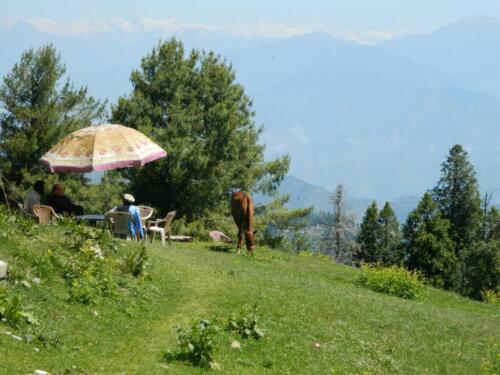 Thandiani Abbottabad Tour