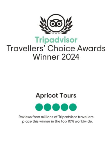 TripAdvisor_page-0001