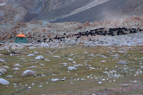 shimshal pass trek - minglik sar expedition (22)