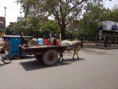 taxila tour