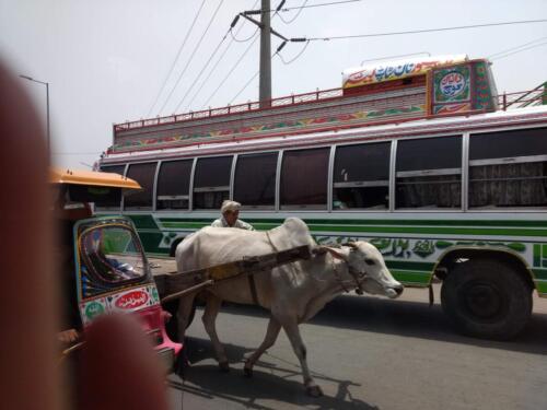 taxila tour